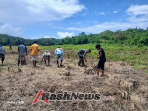 Babinsa Koramil 1601-04/Tabundung Aktif Dampingi Petani Tanam Padi