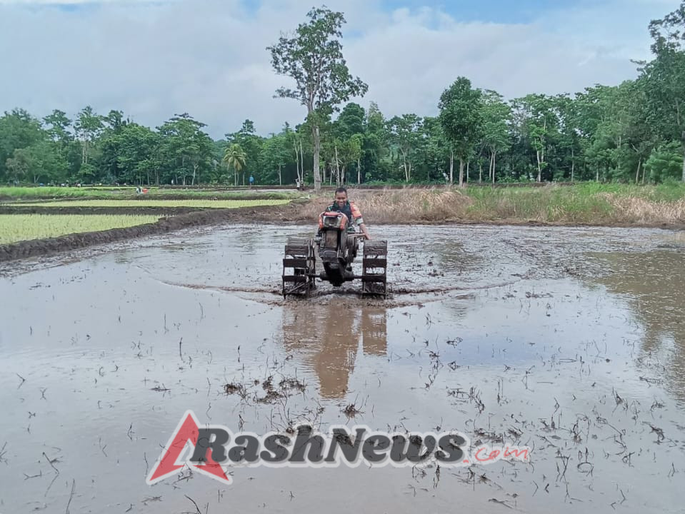 Babinsa Koramil 02/Walakaka Bantu Warga Siapkan Lahan Sawah di Desa Sodana