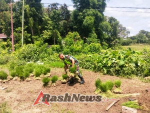 Kebersamaan Babinsa dan Warga dalam Persiapan Tanam Padi