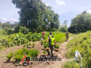 Babinsa Koramil 03/Katikutana Komsos Ketahanan Pangan Bersama Warga Desa Matawoga