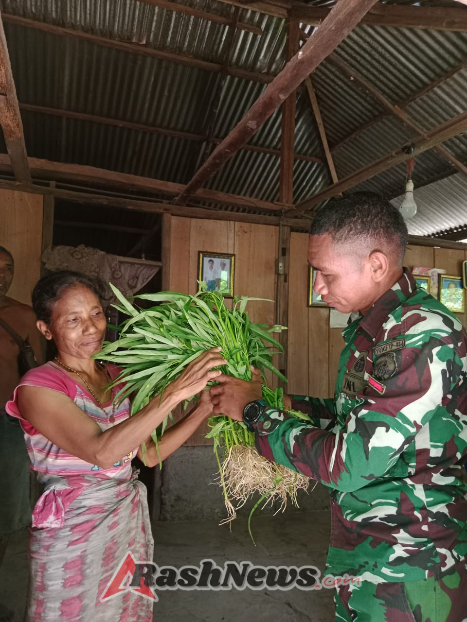 Ketahanan Pangan Satuan Berjalan Optimal, Kompi Senapan C Yonif TP 834/WM Panen Kangkung