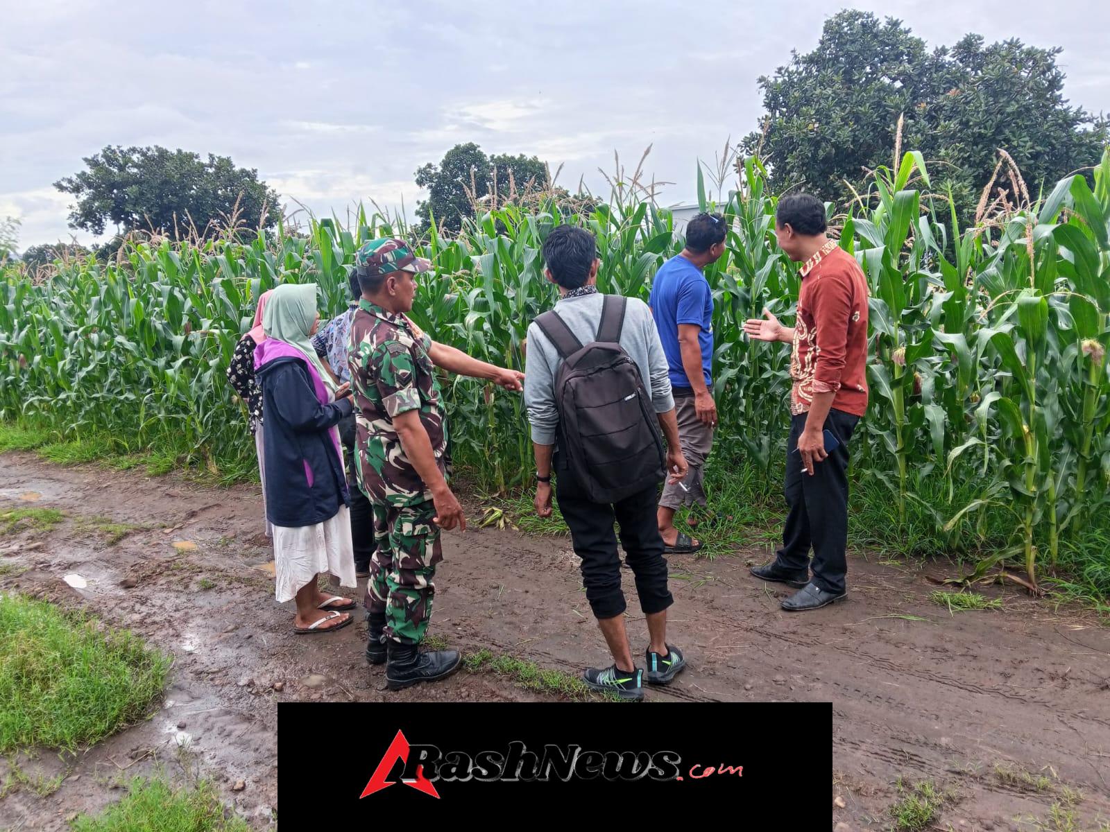 Koramil 1614-06/Manggelewa Gelar Kegiatan Teritorial Bersama Warga