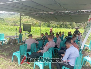 Sinergi TNI-Polri dan Pemda dalam Panen Raya Jagung Serentak
