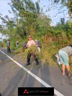 Bhabinkamtibmas Baturiti Pimpin Gotong Royong Bersih Lingkungan, Wujudkan Kawasan Pacung yang Sehat dan Aman