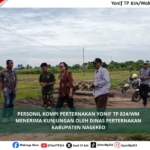 Silaturahmi dan Peninjauan Ayam Petelur, Dinas Peternakan Nagekeo Sambangi Kompi Peternakan Yonif TP 834/WM