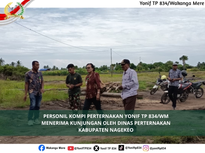 Silaturahmi dan Peninjauan Ayam Petelur, Dinas Peternakan Nagekeo Sambangi Kompi Peternakan Yonif TP 834/WM