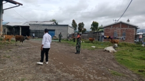 Sinergi Babinsa dan Pemdes O’o Dukung Pembangunan Koperasi Merah Putih