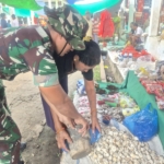 Babinsa Kodim 1601/Sumba Timur Lakukan Pemantauan Harga Pasar