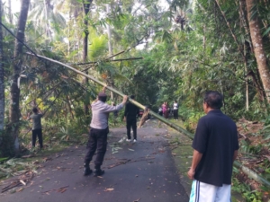 Bhabinkamtibmas Bersama Warga Evakuasi Pohon Tumbang di Dawan Kaler.