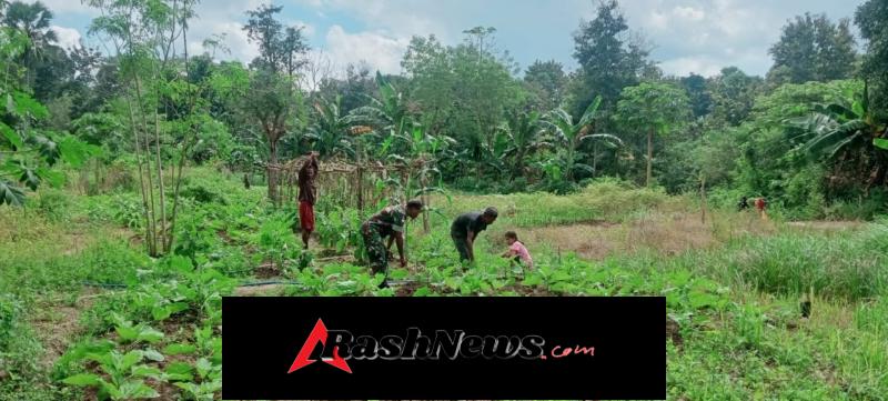 Babinsa Hadir sebagai Penggerak, Pertanian Desa Matabesi Kian Bergairah