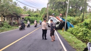 Truk muat ayam potong Out Off Control di Jelijih, Megati