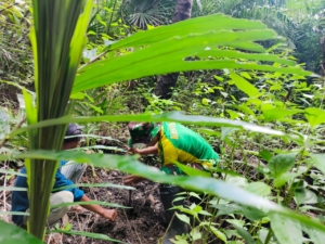 Kolaborasi TNI dan Warga Takirin Wujudkan Penghijauan di Wilayah Perbatasan