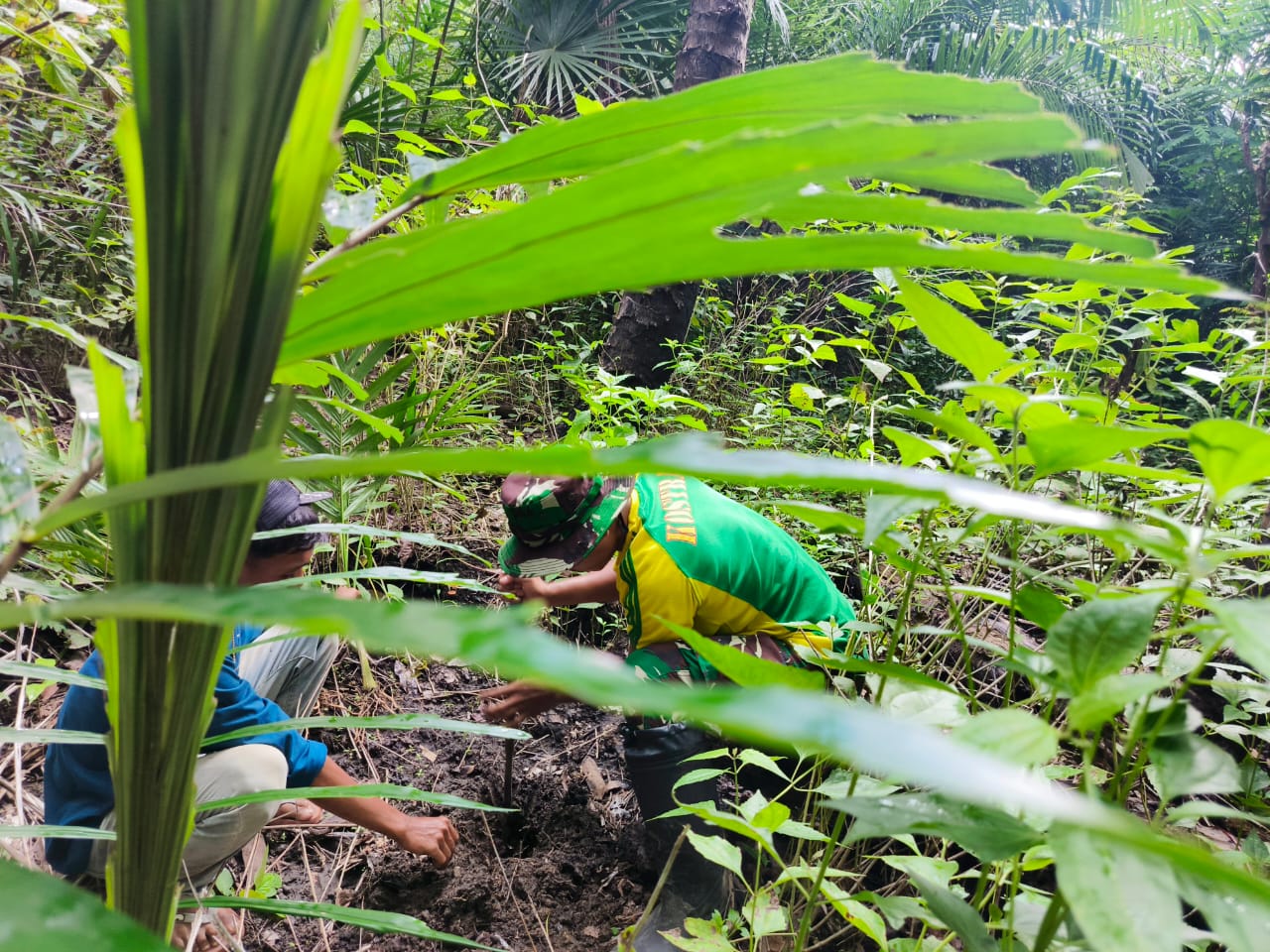 Kolaborasi TNI dan Warga Takirin Wujudkan Penghijauan di Wilayah Perbatasan