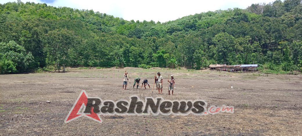 Dukung Ketahanan Pangan, Babinsa Koramil 04/Tabundung Turun ke Sawah