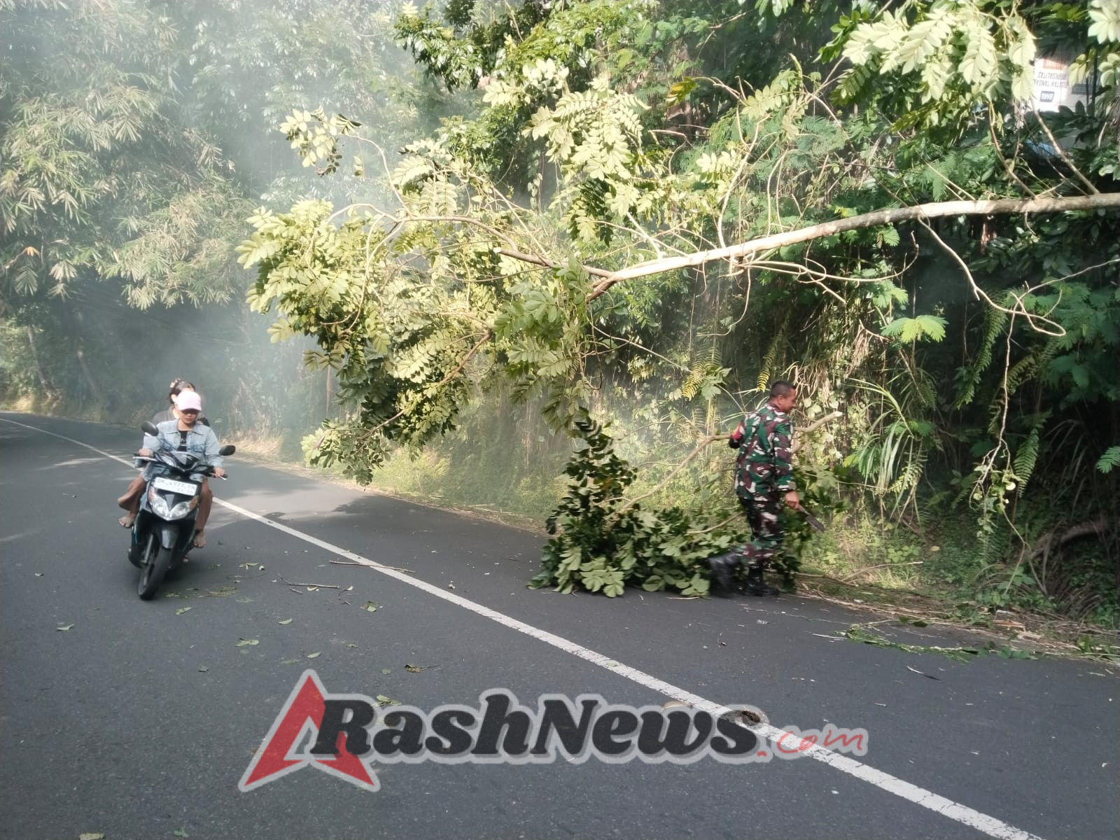 Wujud Kepedulian TNI, Babinsa Koramil 1626-03/Tembuku Sigap Tangani Pohon Tumbang