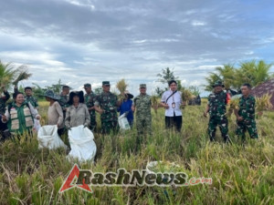 Sinergi TNI–Pemda dan Petani, Panen Raya Bangli Dirangkai Pengumuman Swasembada Pangan