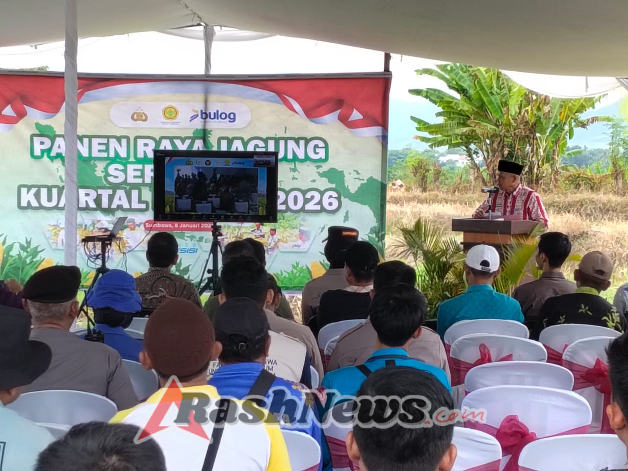 ‎Panen Raya Jagung Serentak, Kodim 1607/Sumbawa Hadir untuk Petani