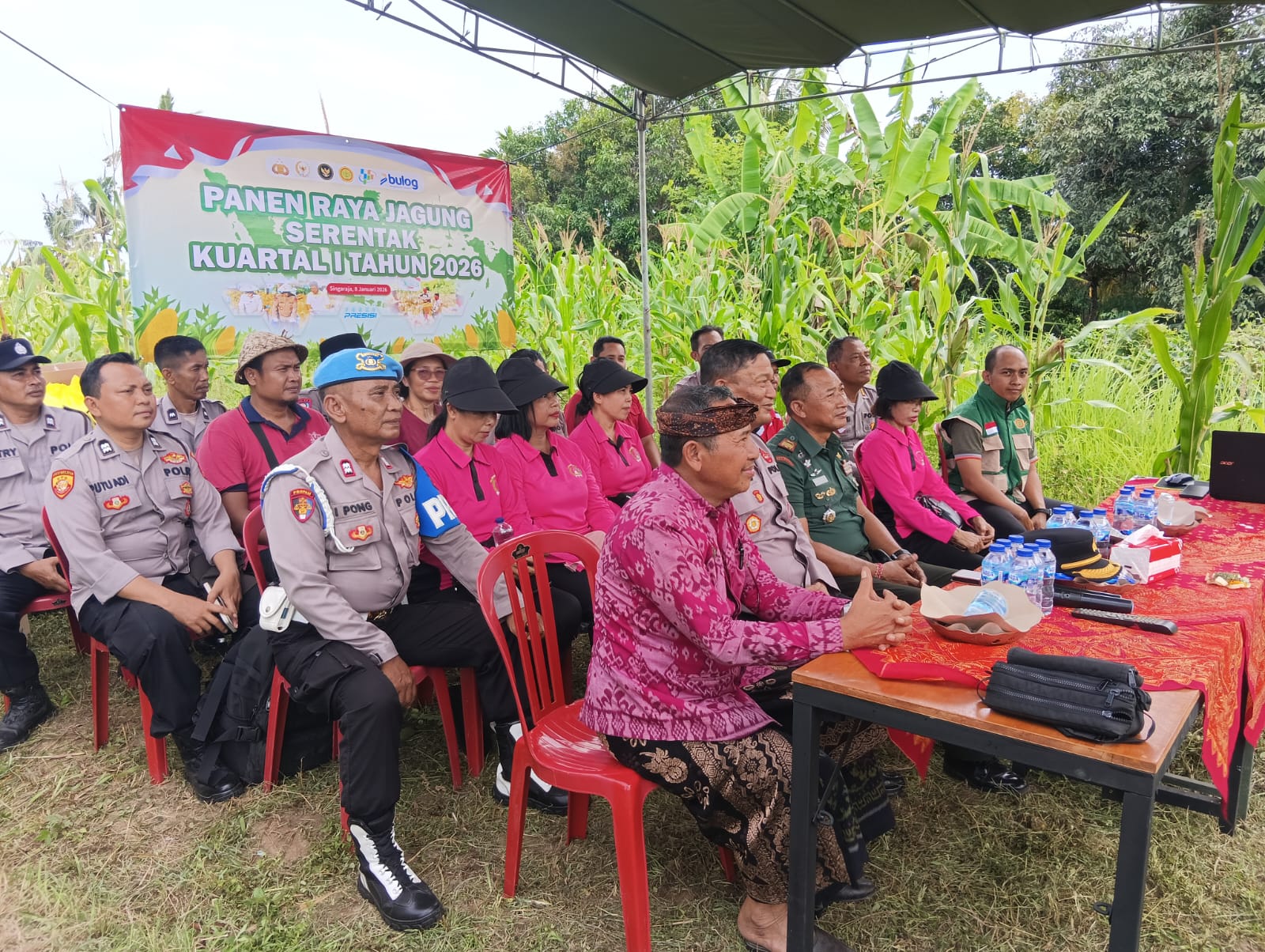 Babinsa Bersama Petani Alasangker Sukseskan Panen Jagung Serentak Kuartal I 2026 Secara Streaming