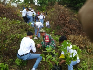 Koramil Alas dan Masyarakat Bersinergi Sukseskan Program Sumbawa Menanam