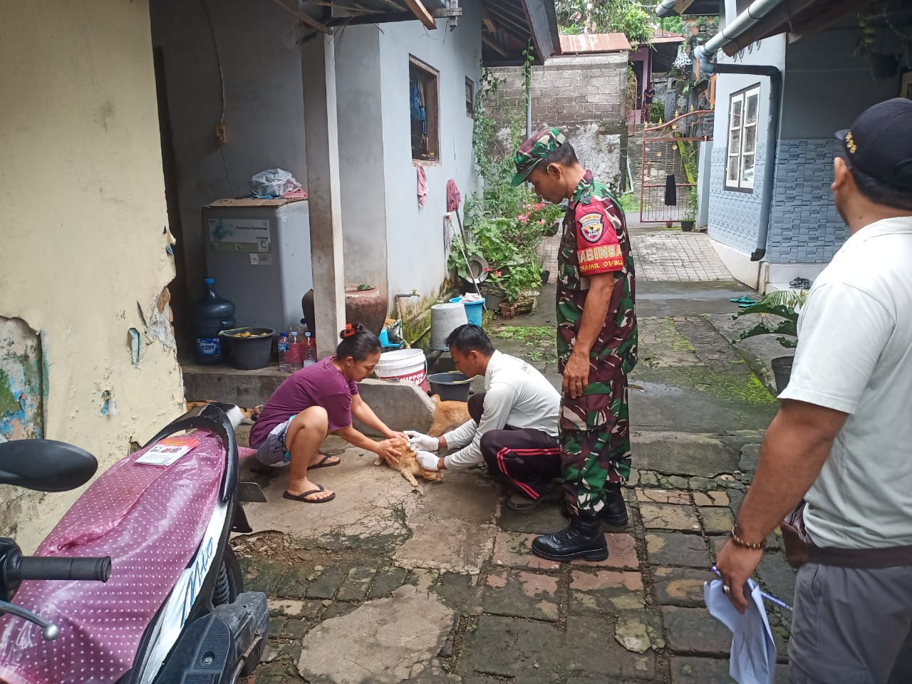 Desa Nagasepaha Bebas Rabies, Babinsa Dampingi Dinas Peternakan Laksanakan Vaksinasi