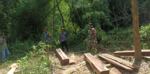 Naik Gunung Demi Hutan Lestari, Patroli Gabungan Amankan Bukit Sampar Bao Nangka