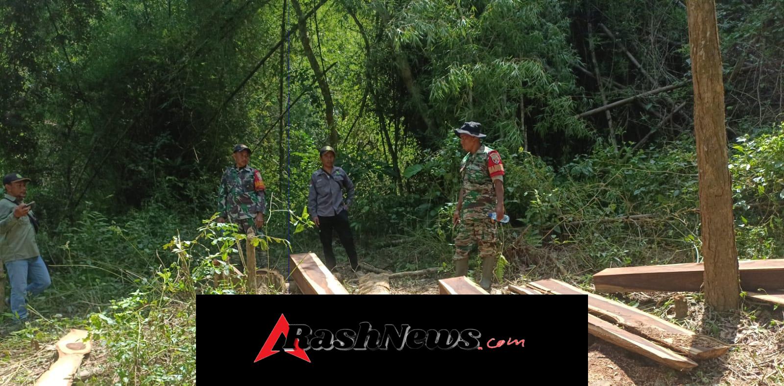 Naik Gunung Demi Hutan Lestari, Patroli Gabungan Amankan Bukit Sampar Bao Nangka