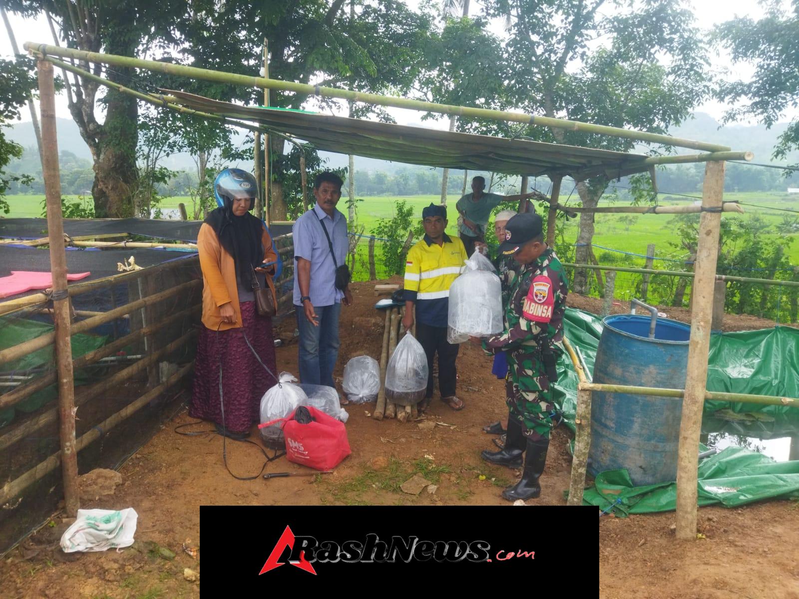 ‎Babinsa Bersama Masyarakat Padesa, Perkuat Ketahanan Pangan Lewat Budidaya Ikan