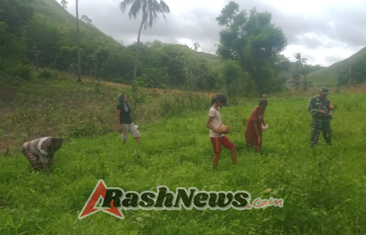 Peran Aktif Babinsa, Tanam Jagung Bersama Warga Desa Persiapan Ngarukahiri