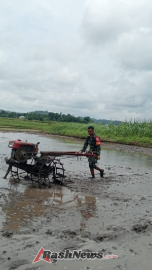 Babinsa Kodim 1601/Sumba Timur Aktif Dampingi Petani di Musim Tanam