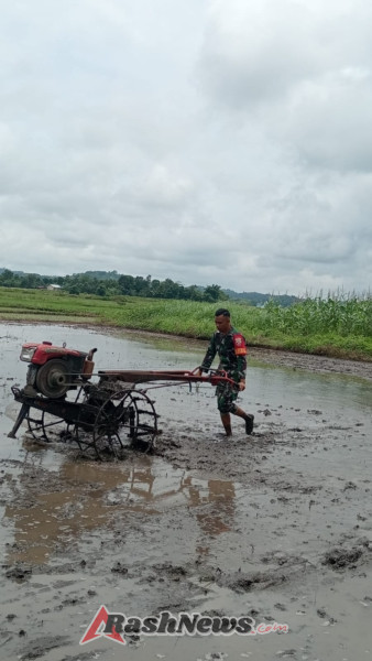 Babinsa Kodim 1601/Sumba Timur Aktif Dampingi Petani di Musim Tanam