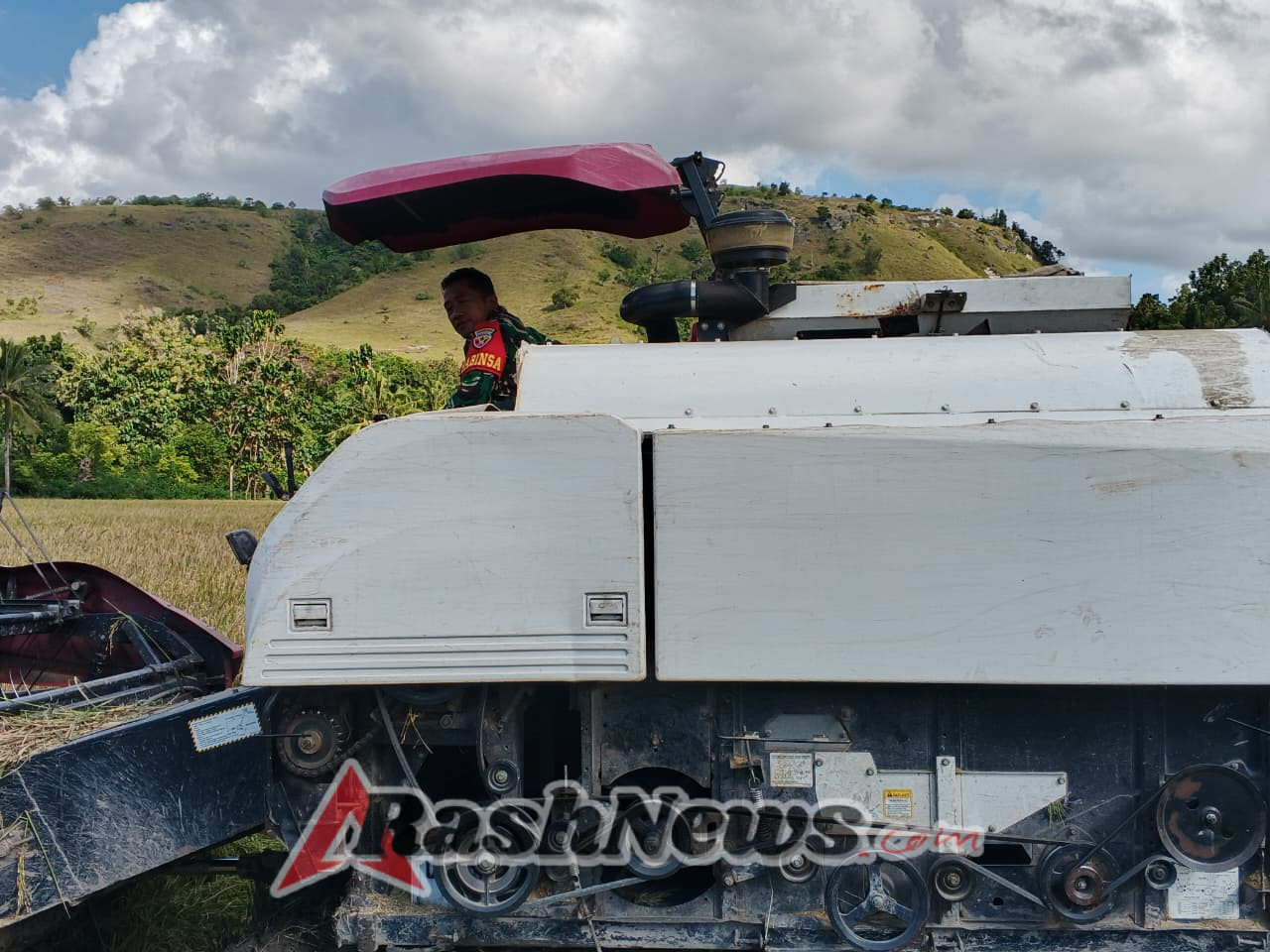 Babinsa Koramil 02/Rindi Umalulu Bantu Panen Padi Menggunakan Combine Harvester