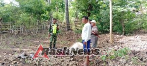 Pendekatan Musyawarah, Konflik Hewan Ternak dan Pemilik Kebun di Saindule Berakhir Damai