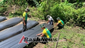 TNI Hadir di Tengah Petani, Pos Lakmars Bantu Warga Desa Henes
