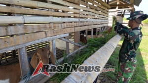 Komitmen Yonif TP 834/Wakanga Mere Wujudkan Ketahanan Pangan Nasional