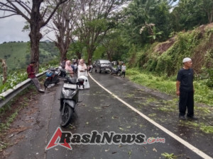 Babinsa Bersama Damkar Berhasil Bersihkan Jalan yang Tertutup Pohon Sengon