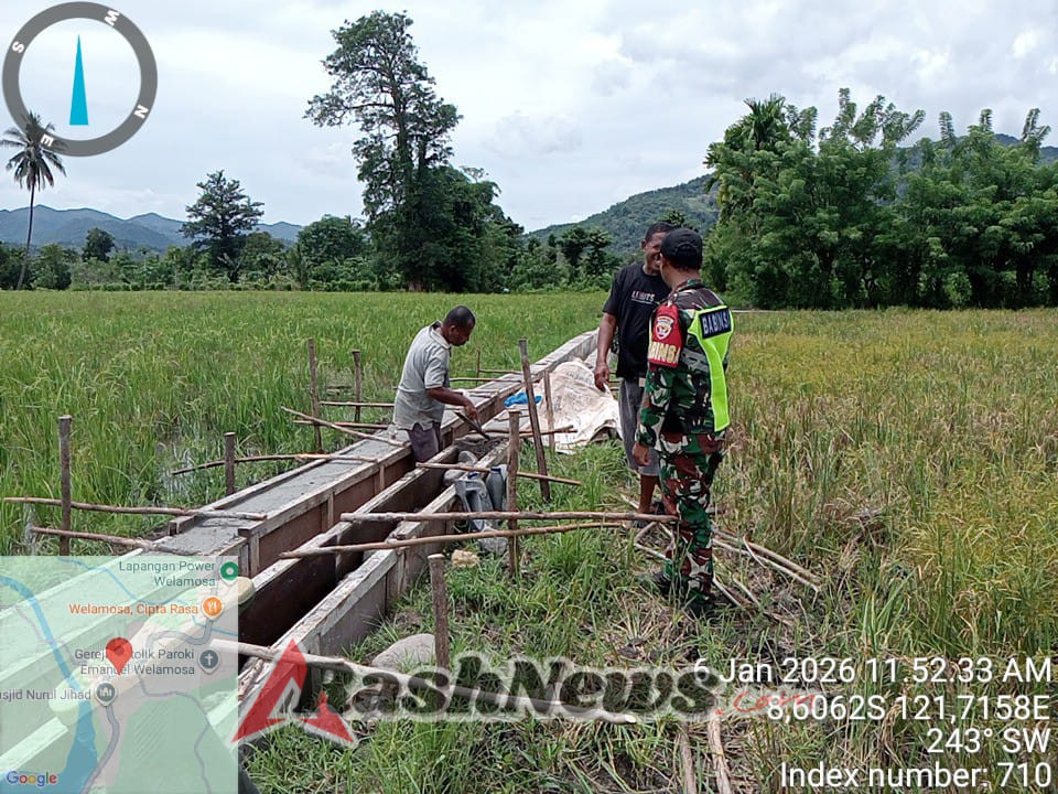 Babinsa Ramil Detusoko Aktif Dukung Program Ketahanan Pangan melalui Pendampingan Oplah