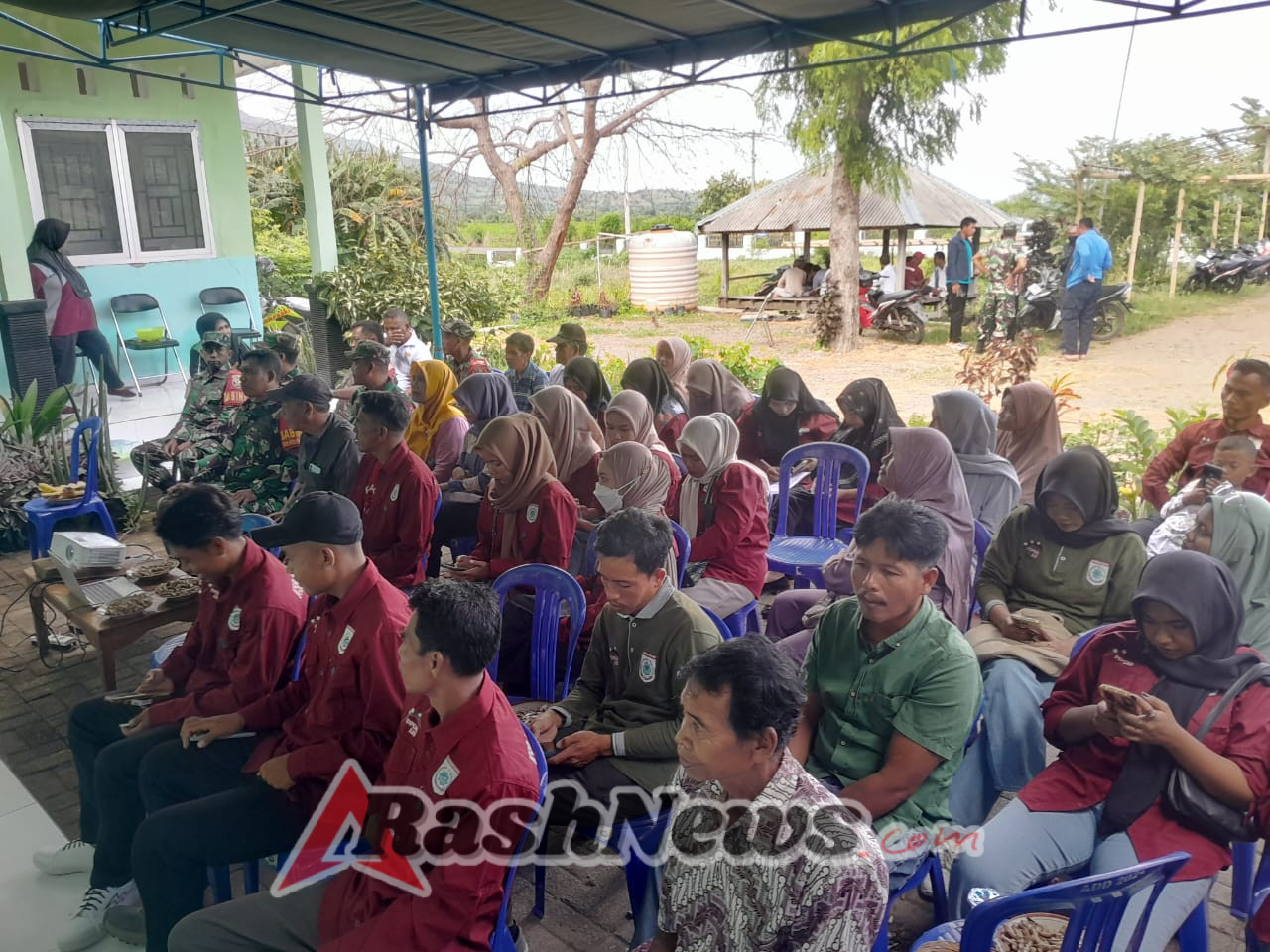 Sinergi TNI dan Instansi Pertanian, Koramil Poto Tano Ikuti Vicon Panen Raya