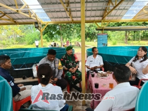 Babinsa Hadir Dorong Pemberdayaan Ekonomi Warga Lewat Budidaya Lele Bioflok