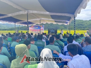 Kabupaten Bima Catatkan Surplus Produksi Padi Tahun 2025