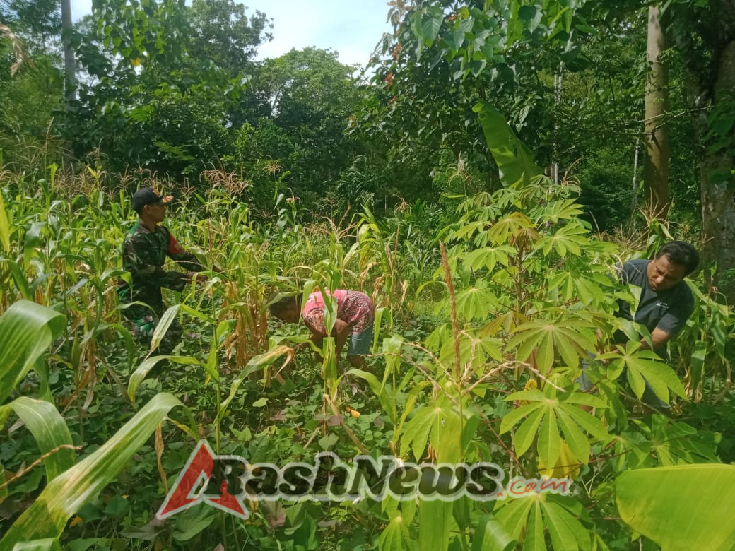 Jalin Kebersamaan, Babinsa Koramil 01/Loli Aktif Komsos di Wilayah Binaan