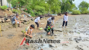 Tanam Bakau, Babinsa dan Mahasiswa Jaga Alam Sekotong