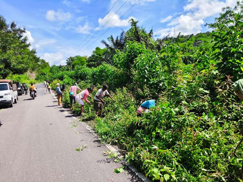 Perkuat Gotong Royong, Koramil Boawae Bersama Warga Bersihkan Jalan Trans