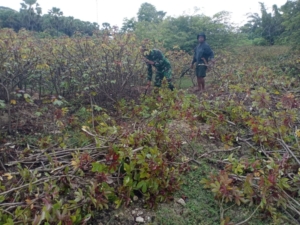 Serka Haris Lakuy Kawal Keberangkatan Kapal Feri Garda Maritim 3 Menuju Bolok Kupang