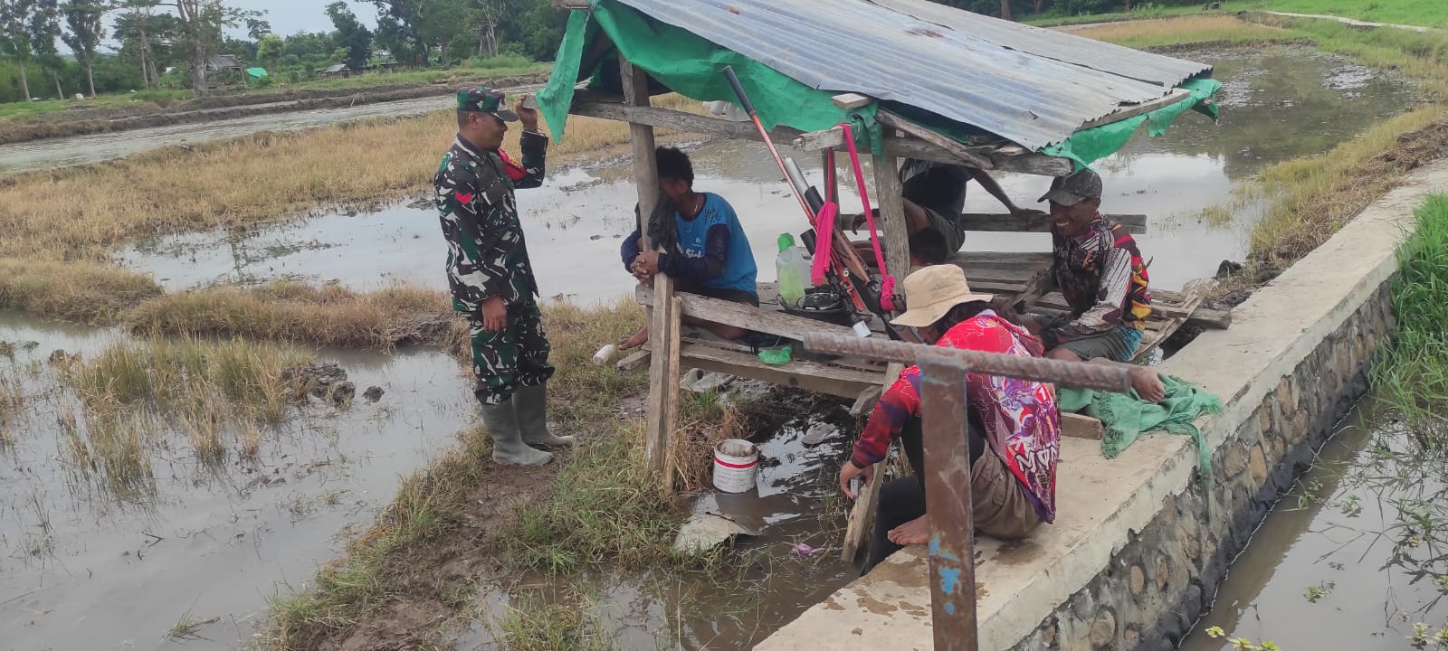 Sinergi Babinsa dan Warga Tolokalo Dukung Ketahanan Pangan