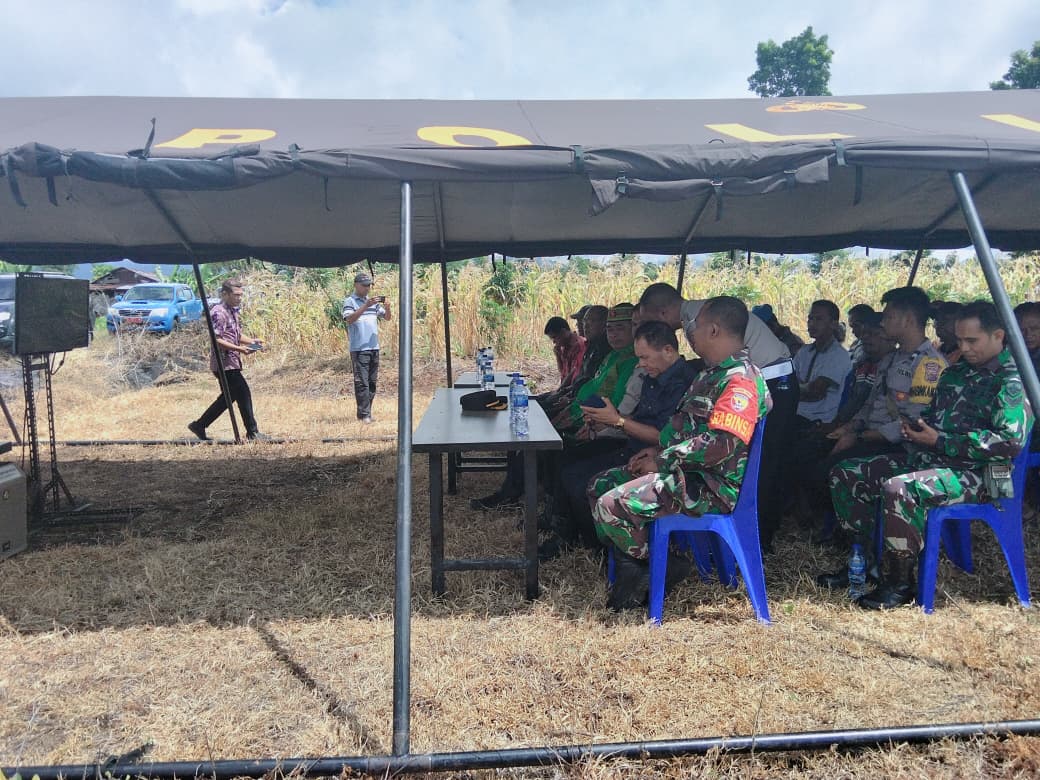Semangat Swasembada Pangan, Babinsa Koramil 1612-03/Borong Turun Langsung ke Lokasi Panen
