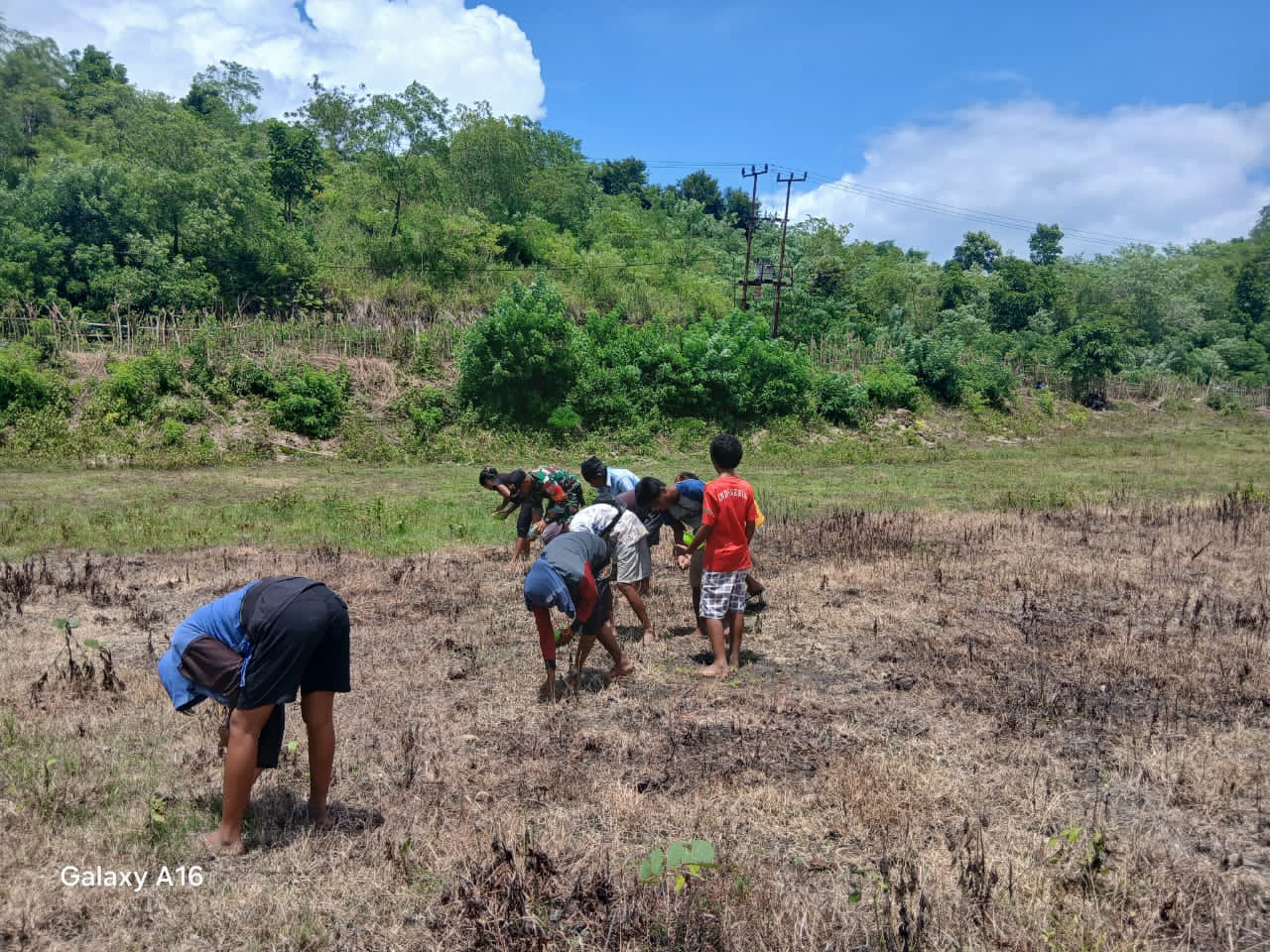 Babinsa Hadir di Tengah Petani, Dukung Tanam Padi di Kecamatan Tabundung