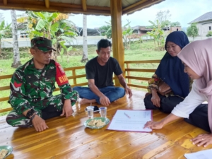 Babinsa Lampok Dukung Produktivitas Pertanian Lewat OPLAH