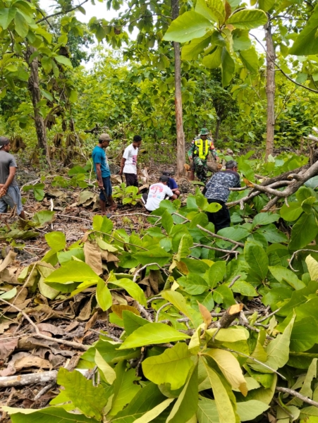 Dukung Pembangunan, Babinsa Gelar Pembersihan Lahan KDKMP Desa Lekona