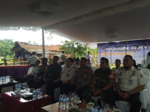 Babinsa Desa Nowa Perkuat Sinergitas Antarinstansi dalam Panen Raya Ketahanan Pangan