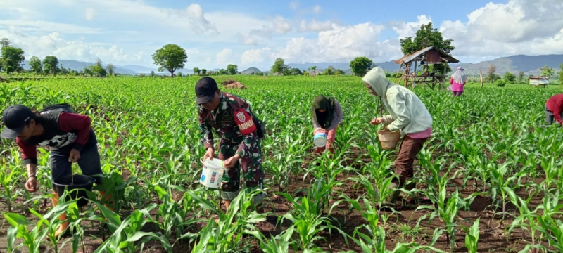 Komitmen Babinsa Koramil 1614-03/Hu’u dalam Pemberdayaan Warga Binaannya